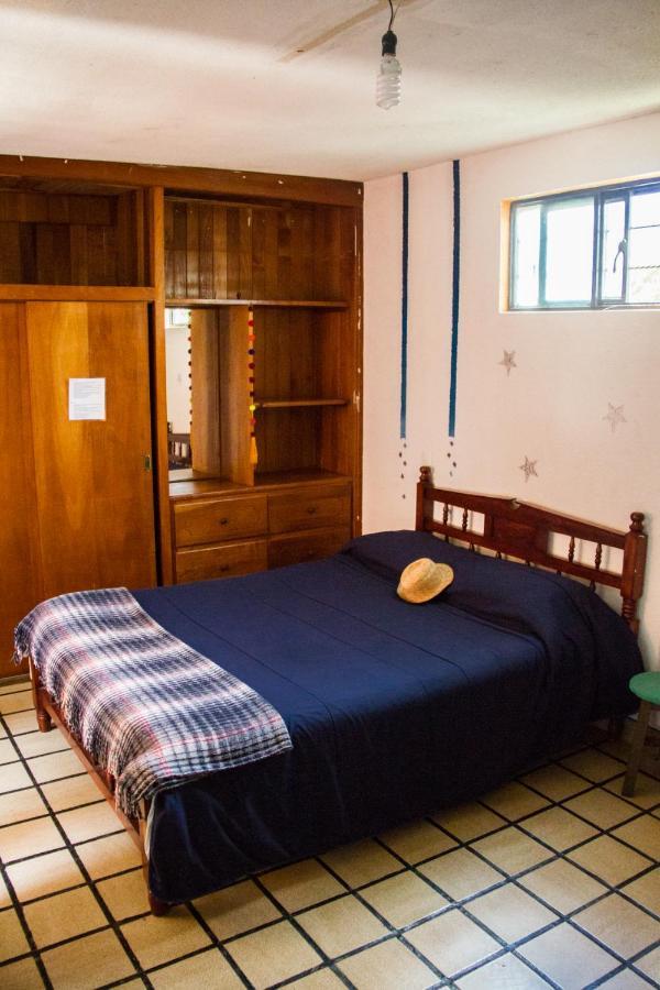 Lipi House Hostel Сан-Кристобаль-де-Ла-Касас Экстерьер фото
