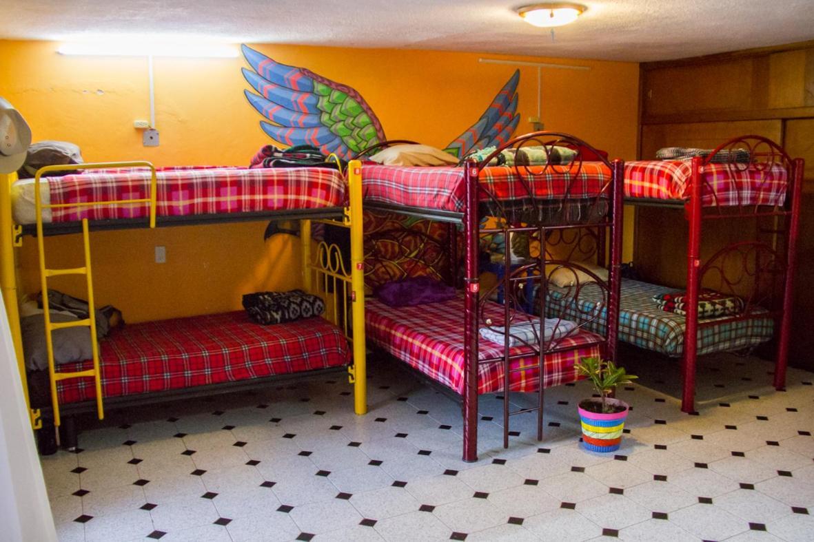 Lipi House Hostel Сан-Кристобаль-де-Ла-Касас Экстерьер фото